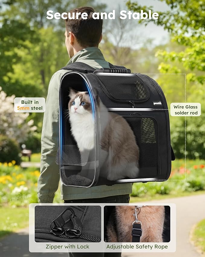 Pecute Cat Backpack Carrier XL, Expandable Pet Backpack for Cats & Small Dogs Up to 15lbs, with 4-Side Breathable Mesh, Multi-Entry & Lockable Zippers for Travel, Hiking, Camping - Hands Free, Black