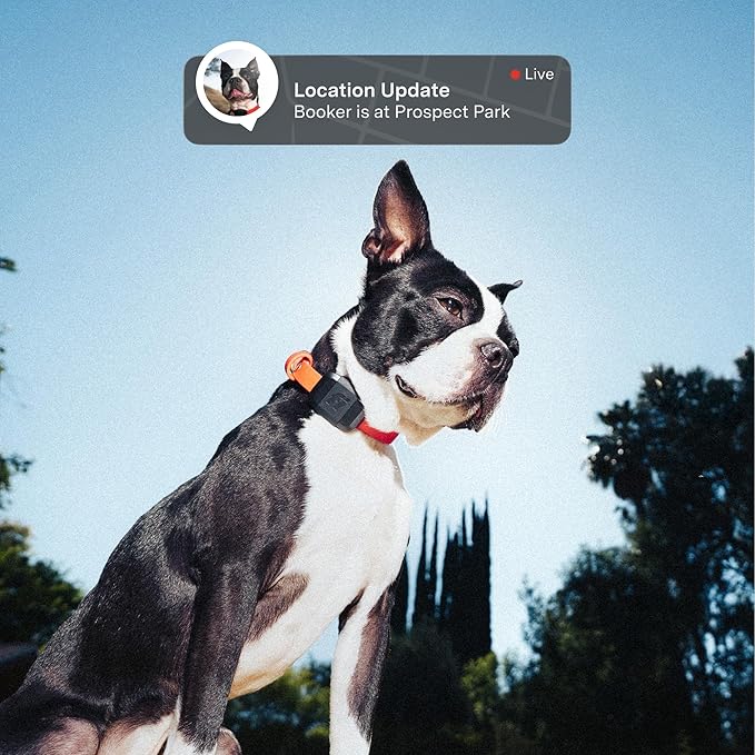 Fi Mini GPS Tracker for Dogs — 12-Month Membership Included — Smart Pet Tracking Collar Attachment — Lightweight, Virtual Fences, Escape Alerts, Step & Health, Waterproof