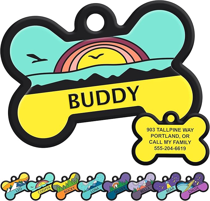 GoTags Silent Dog Tag, Personalized Engraved Bone Silicone Dog and Cat Name Pet ID Tags, Soundless No More Jingling Dog Tags Customized (Beach, Blue)