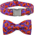 Dog Collar - Halloween Pumpkin Bowtie Pet Collar Gift Soft Bow Collar Pet Adjustable Metal Buckle Puppy Collars for X-Small Dogs