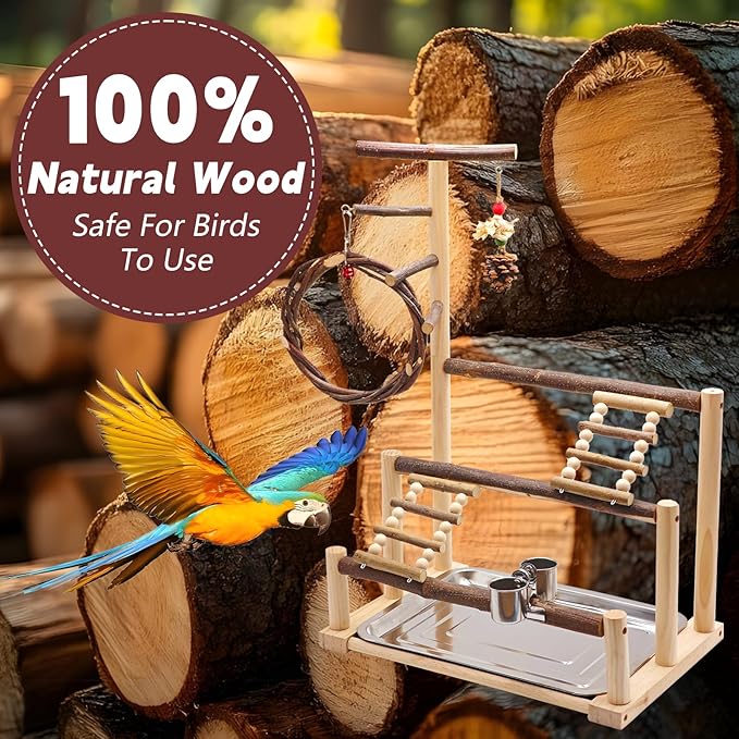 ‌Bird Playground, Natural Wooden Parrot Stand with Feeding Cups, Swing, Chew Toys, and Other Cage Accessories for Small to Medium Birds.Ideal for Cockatiels, Budgies, African Greys, and Conures