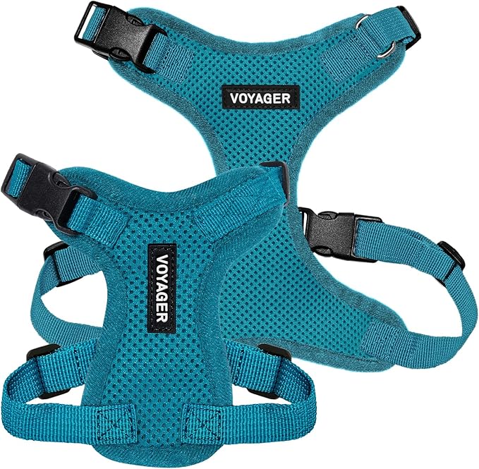 Voyager Step-in Pet Harness - All Weather Mesh, Adjustable Step in Harness for Cats and Dogs by Best Pet Supplies - Turquoise, M
