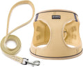 Dog Harness with Leash Set, No Pull Adjustable Reflective Step-in Puppy Pet Vest Harnesses for Small Medium Large Dogs and Cats,Beige XS