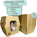 Cats Desire Disposable Litter Box No Plastic Solution (10 Tray) w/ Low Entry & Enclosed Box - Teal on Natural Brown, Made in USA Woman Owned, 19"L x 17"W x 8.5"H tray - 19"L x 17"W x 17"H enclosed box