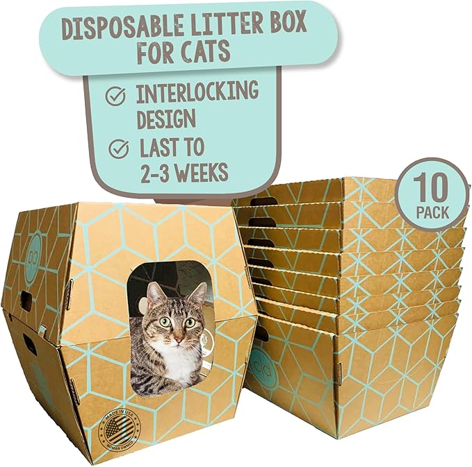 Cats Desire Disposable Litter Box No Plastic Solution (10 Tray) w/ Low Entry & Enclosed Box - Teal on Natural Brown, Made in USA Woman Owned, 19"L x 17"W x 8.5"H tray - 19"L x 17"W x 17"H enclosed box