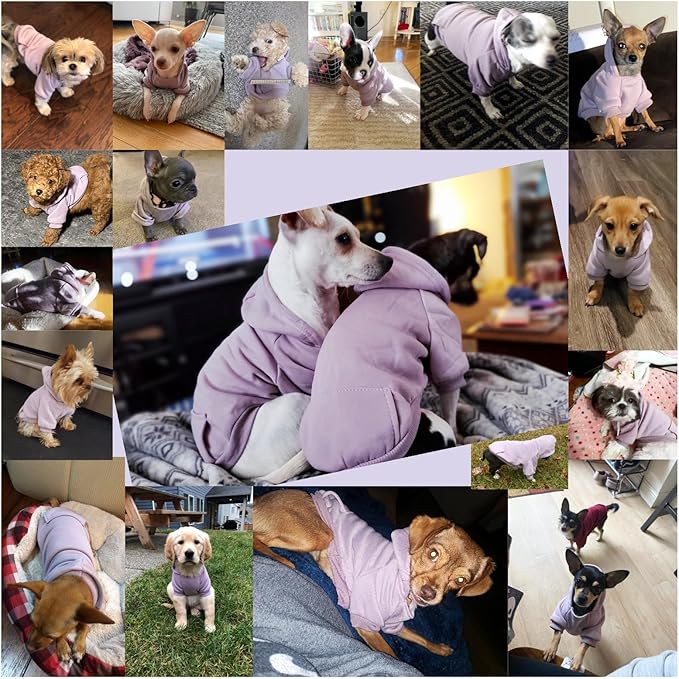 Jecikelon Winter Dog Hoodie Sweatshirts with Pockets Warm Dog Clothes for Small Dogs Chihuahua Coat Clothing Puppy Cat Custume (Purple, X-Small)