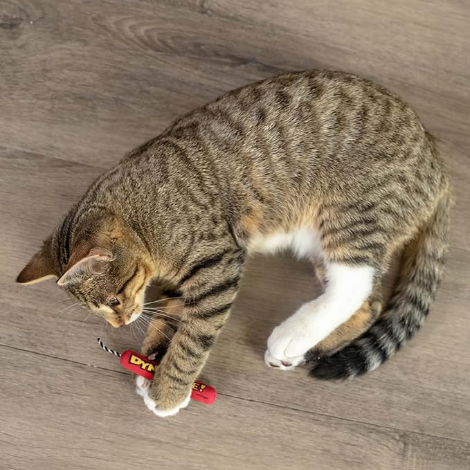 Catstages Green Magic Dynamite Stick Catnip Cat Toy,(Pack of 2)