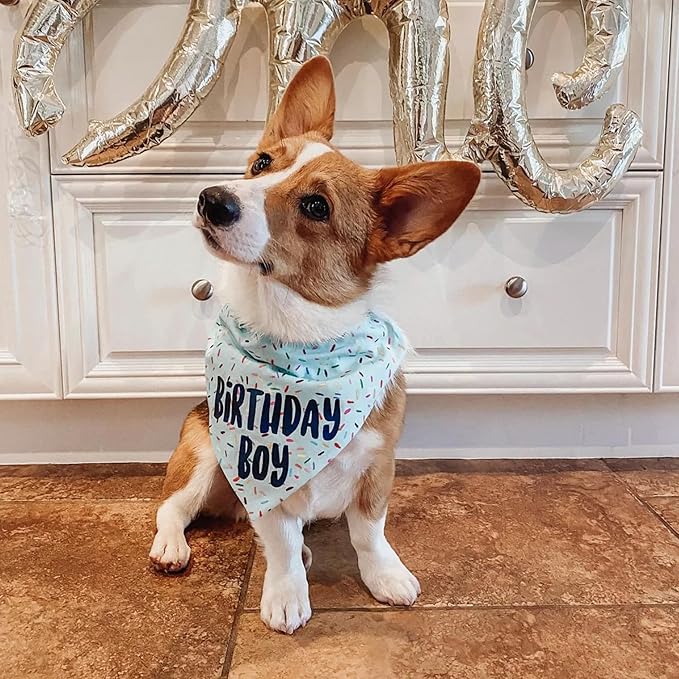Birthday Boy Dog Bandanas 1 Pack, Blue Birthday Dog Scarfs, HBD Pet Scarves for Birthday Boy Party Bandanas for Small and Medium Dogs (Blue, Small)
