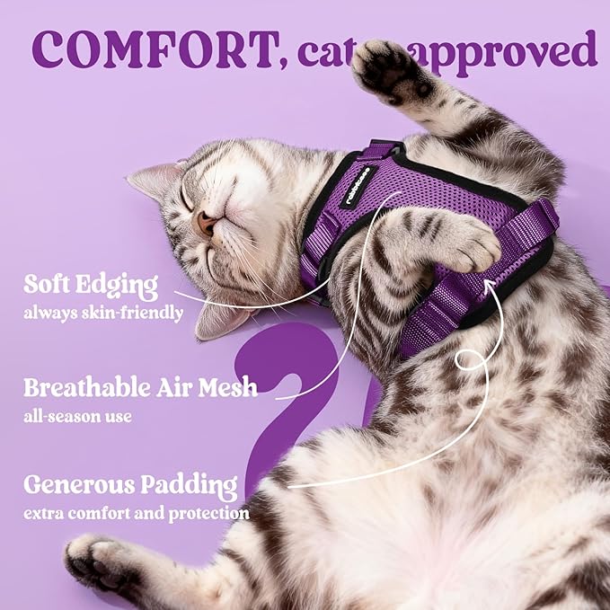 rabbitgoo Cat Harness and Leash for Walking, Escape Proof Soft Adjustable Vest Harnesses for Cats, Easy Control Breathable Reflective Strips Jacket, Purple, XXS