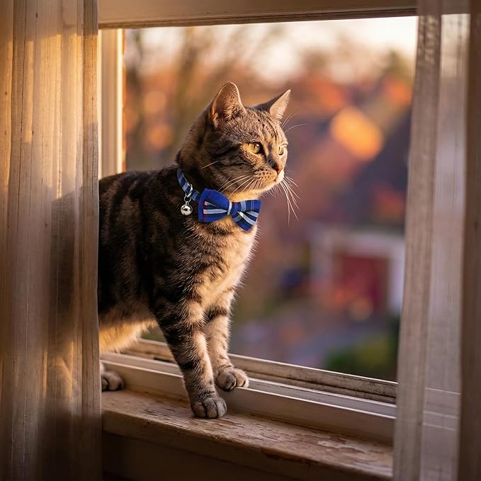 THAIN Cat Collar Breakaway with Bell and Bow Tie Safety Buckle Blue Plaid Pattern Adjustable 7-11 inches for Kitten Cats(Blue Plaid)
