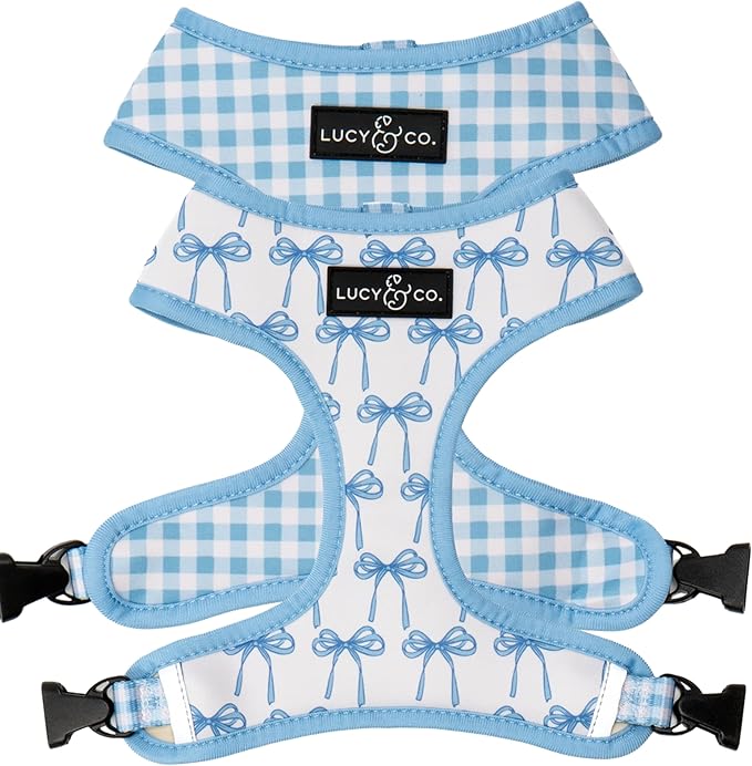 Lucy & Co. Cute Reversible Dog Harness Walking Halter - Best Designer Pet Harnesses for XS - XL Dogs - Padded Adjustable Vest for Easy Walking - Medium - White with Blue Bows