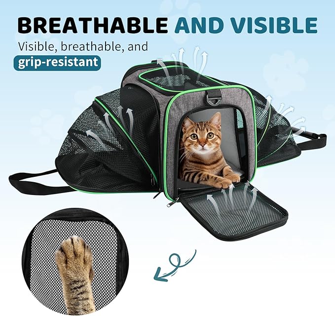 Airline Approved Pet Carrier for Cat - 17 * 11 * 11 Expandable Soft Side Pet Carrier, Collapsible Pet Travel Bag Carrier with Foldable Pet Bowl for Cat Small Animals Under 14LB