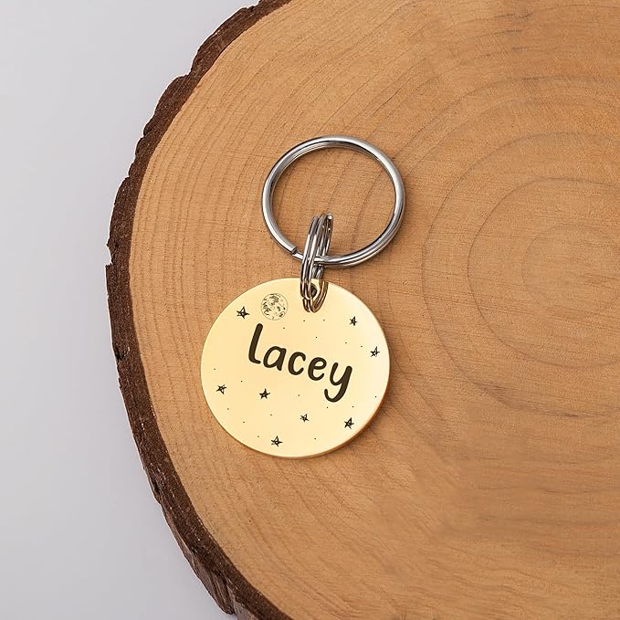 Anavia Small Size Dog Cat ID Tags, Small/XS Personalized Color Plated Stainless Steel Puppy Kitten Name Tags, Customized Engraved Nameplate Pet Collar Tag (Gold, Round)
