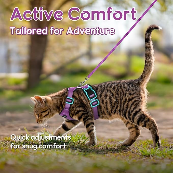 Dooradar Cat Harness and Leash Set, Escape Proof Safe Adjustable Kitten Vest Harnesses for Walking, Easy Control Soft Breathable Mesh Jacket with Reflective Strips for Cats, Purple, XXS