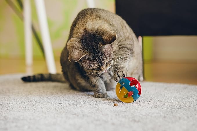 SIMENA Parrot Ball Toy with Bell, Cage Hanging Accessories for Medium to Large Birds, Interactive Toys for Birds, Cat Ball Toy (Globe, Set of 1)