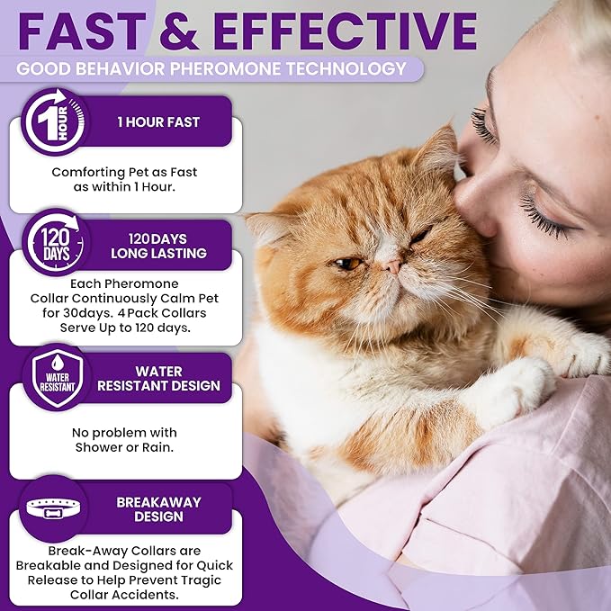 Pheromone Calming Collar for Cats: Breakaway Cat Calming Collar for Anxiety, Separation Stress, Multicat Aggression, Spraying, Meowing - for Indoor Use, Moving & Travel (M Purple)