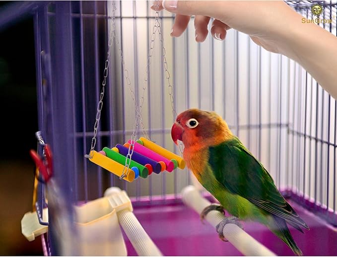 SunGrow Parrot Bird Swing Wooden Perch, Hanging Cage Accessory, Metal Chain Clasp, Colorful Bead Bar Design, Climb Ladder Hammock Setup, Indoor Mount System for Small Medium Pet Type Conure Parakeet