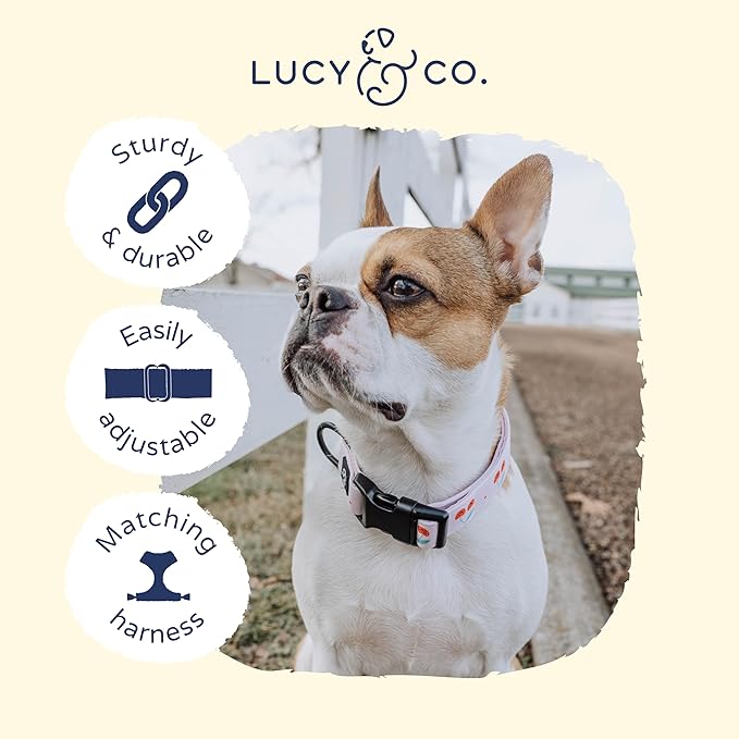 Lucy & Co. Cheery Cherries Dog Collar - Durable Lightweight Designer Collar for Pets - Adjustable Metal Safety Buckel - Red Gingham Cherries - Small