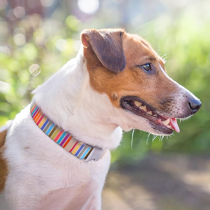 AirTag Dog Collar for Small Medium Large Breed - Adjustable Cute Pattern Dog Collar with Airtag Holder - Soft Leather Tracker GPS Apple Air Tag Pet Collars (Large, 17"-21" Neck Fit, Serape)