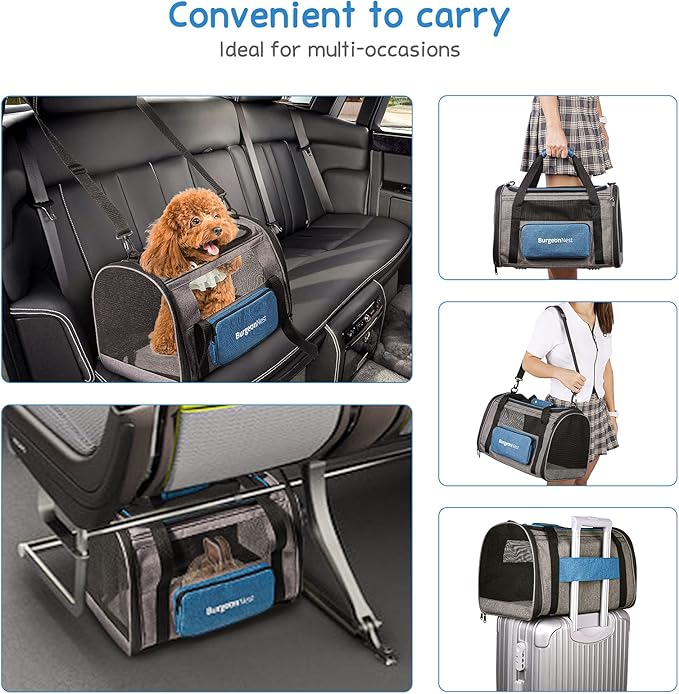 BurgeonNest Cat Carrier, Airline Approved Dog Carrier, Soft Sided Cat Pet Carrier for Small Medium Cats Dogs Under 10 lbs with Side Bag, Collapsible Travel Kitten Puppy Carriers, Blue