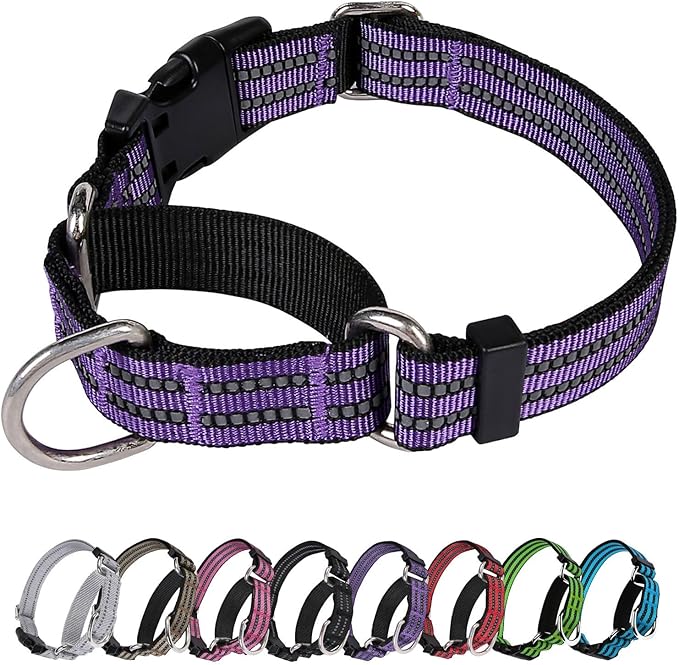 Martingale Dog Collar, Adjustable Nylon Reflective Collar with Buckle No Pull Dog Collar for Small Medium Large Dogs (Purple S)