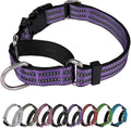 Martingale Dog Collar, Adjustable Nylon Reflective Collar with Buckle No Pull Dog Collar for Small Medium Large Dogs (Purple S)