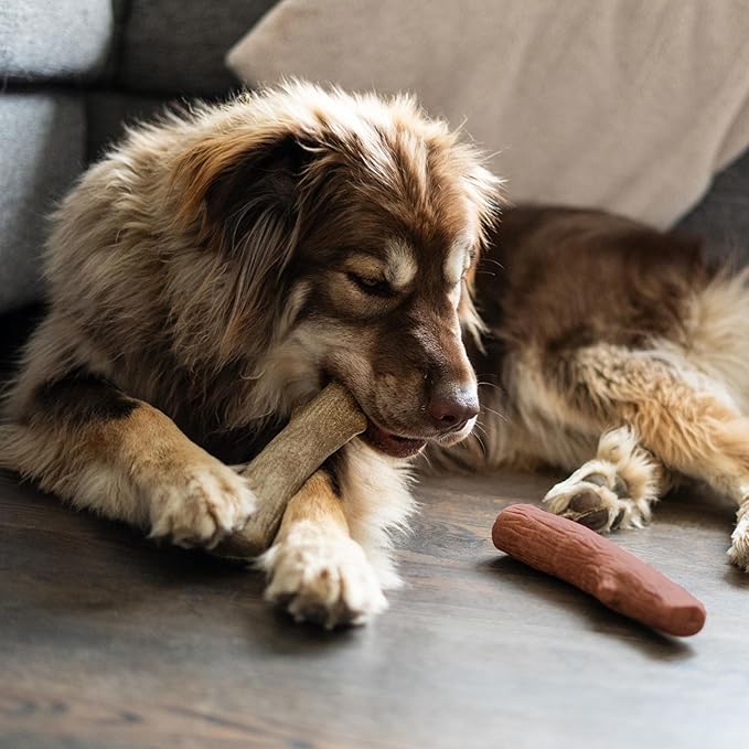 Outward Hound Pupstages Dogwood Mesquite Dog Chew Toy – Real-Wood Blend, Moderate Chewers, Medium, 7.5", 2-Pack (Natural & Mesquite Flavors)