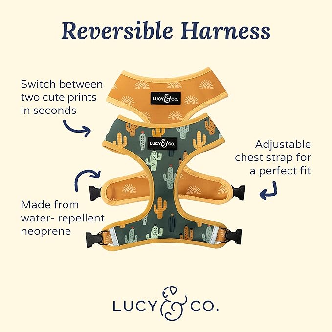 Lucy & Co. Looking Sharp, Cute Reversible Dog Harness Walking Halter - Best Designer Pet Harnesses for Medium Dogs - Padded Adjustable Vest for Easy Walking (X-Small)