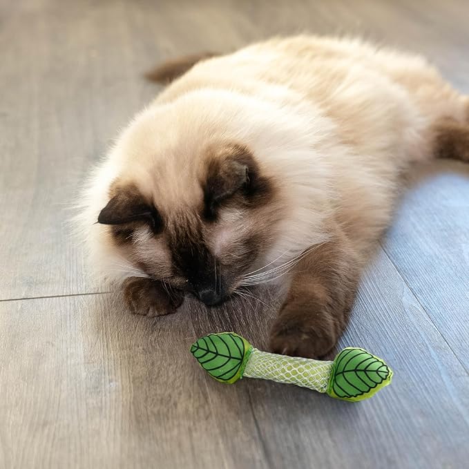 Catstages Fresh Breath Mint Stick Dental Cat Chew Toy with Catmint, Teeth Cleaning & Fresh Breath, Solo or Interactive Play, Green