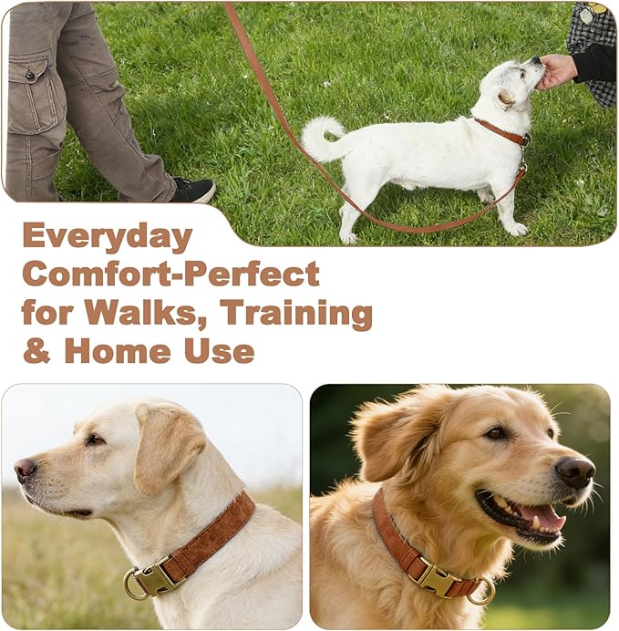 Genuine Leather Dog Collar - Adjustable Pet Collar with Quick Release Metal Buckle, Soft Skin Friendly Real Leather Collar for Small, Medium, Large Dogs (Khaki Collar + Rope, S：Fit 8-16" Neck)
