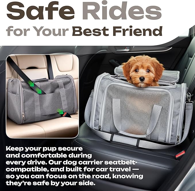 Pet Carrier for Cats, Rabbits, Guinea Pigs – Airline Approved Soft-Sided Travel Bag, Lightweight Dog Carrier, Ventilated & Foldable (Grey, Medium)