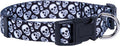 Native Pup Skull Dog Collar for Halloween (Medium, Skulls)