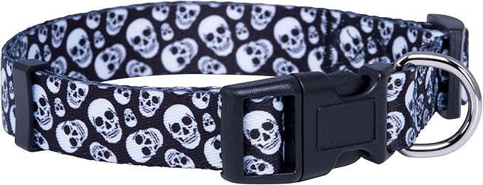 Native Pup Skull Dog Collar for Halloween (Medium, Skulls)