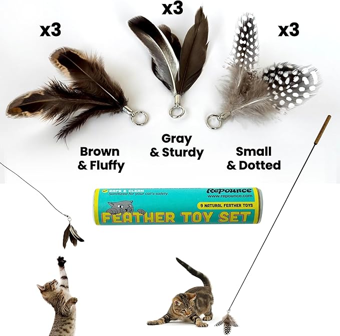Forever Stick with 9 Feather Toy Lures - The Unbreakable Cat Wand Toy, Extra Long Durable Cat String Toy for Indoor Cats, Bored Indoor Adult Cats, Natural Feather Attachment Toy Lures Refill