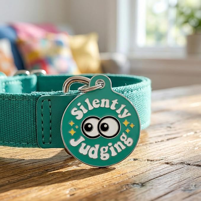 Bad Tags Personalized Dog and Cat ID Tags in 25+ Designs and 2 Sizes - 5 Lines of Custom Engraved Text - Funny Cute Personalized Pet Tags (Silently Judging - Green, Large (1.25 inch))
