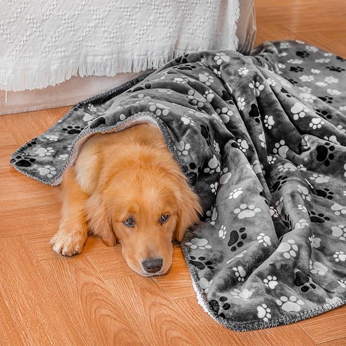 Waterproof Pet Blanket Dog Blankets, Pattern Printing Super Soft Warm Fluffy Facecloth Sofa Car Bed Protector, Urine Proof Washable Pet Blanket for Puppy Large Dogs & Cats 60"*80"