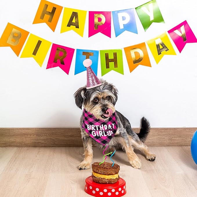 Dog Birthday Party Supplies Decorations with Dog Bandanas/Birthday Hat/Bow Tie Collar with 0-8 Numbers, for Medium Small Dogs Pets (Large, Pink)