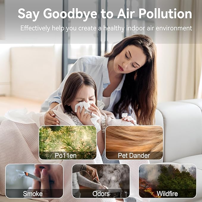 Air Purifiers for Home Large Room Up to 2000 Ft² with Washable Filters, AIUZLK H13 HEPA Filter,Bedroom Air Purifier for Pet,Air Cleaner for Smoke Pet Hair Dander Odor,P260 Black (Black)