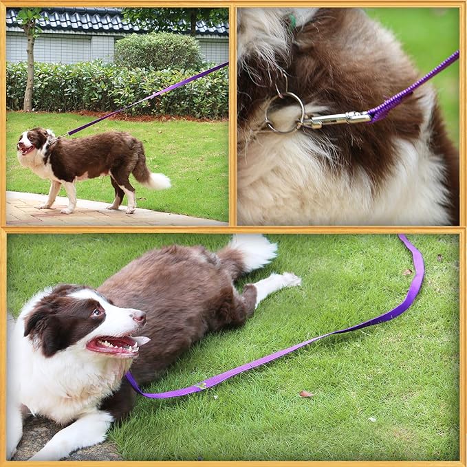 AmaGood Dog/Puppy Obedience Recall Training Long Dog Leash- 20 feet 30 feet 50 feet 15 feet Long Leash for Dogs Training,Recall,Play,Safety,Camping (Purple, 50 Foot (Pack of 1))