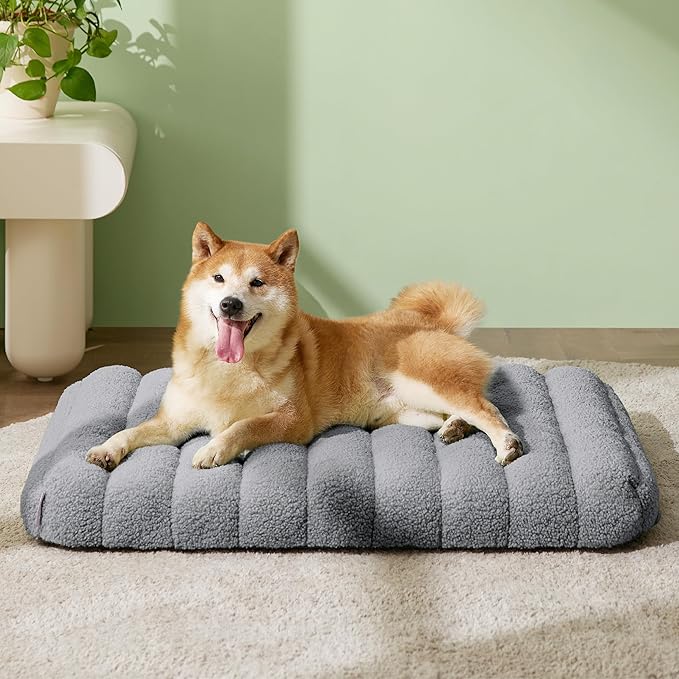 LE SURE Cute Orthopedic Dog Bed Medium Size Dog, Waterproof Chic Flat Pet Beds with Removable Washable Cover, Fuzzy Thick Egg Crate Foam Pet Mat for Indoor Use (30" x 20", Grey)