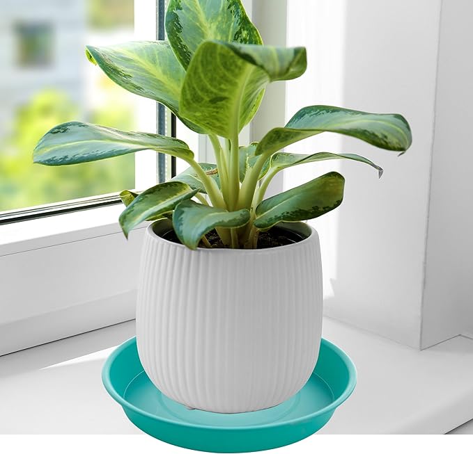 6 Pack of 8 inch Plant Saucer Blue, Plastic Plant Water Tray 8 inch Round, Flower Plant Saucers for Indoors, Dlant Dishes Saucer for Planter 7"/8" (8", Teal)