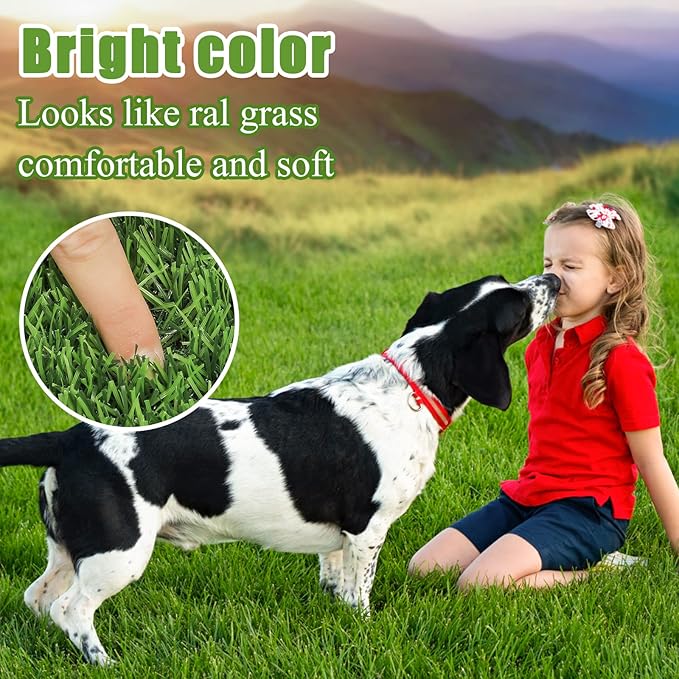 Bsmathom Artificial Grass Rug Indoor Outdoor Rug, Dog Grass Mat with Drainage Holes, Synthetic Artificial Grass Turf Fake Grass Rug Door Mats for Balcony Patio Lawn Garden(51.2 x 31.5Inch)