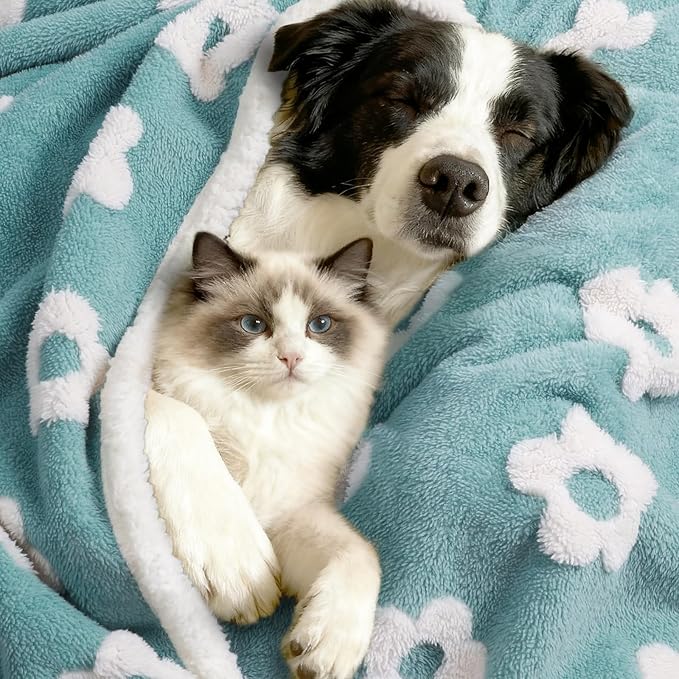 Luciphia Waterproof Pet Blanket for Medium Large Dogs Washable Fluffy Thick Jacquard Shag Fleece Warm Sherpa 3D Textured Flower Print for Cats Puppy Couch Protection (Blue,85x57 inches)