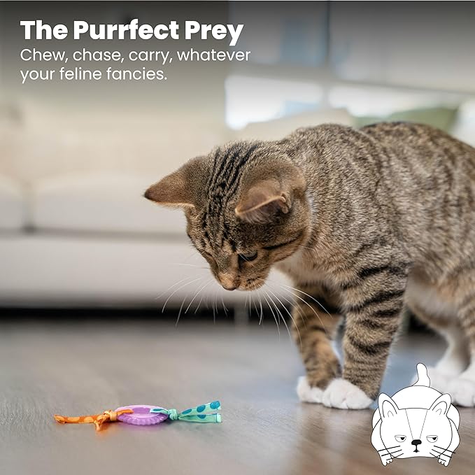 Catstages Kitty Chew Wheel, Dental Cat Toy with Catnip Oil, Teeth Cleaning, Healthy Chewing, Boredom Relief, Kicking & Batting for Kittens and Adult Cats, Purple (Pack of 2)