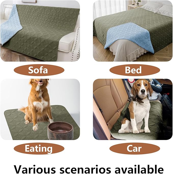 Waterproof Dog Blanket, 52x82 inches Pet Couch Covers for Sofa, Bed Furniture Protector from Dogs Washable and Reversible-Lightblue+Green