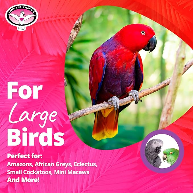 Super Bird Creations SB325 Large Bungee Bird Toy - Rope Perch for African Greys, Parrots, Small Cockatoos, Amazons - Colorful Hanging Perch - Enriching Bungee Toy for Large Birds & in Bird Cages