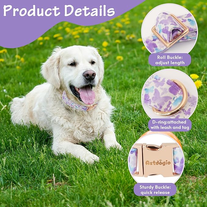 Elegant Butterfly Dog Collar, Purple Blue Gradient Design Collars for Dogs, Adjustable Comfortable for Small Medium Large Dogs, Handmade Cotton Puppy Collar for Daily Walks 、Park Adventures-L