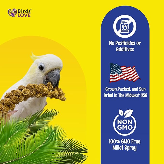 Birds LOVE Economy Special Spray Millet | GMO-Free (No Stems Only Edible Tops) for Birds Cockatiel, Lovebird, Parakeet, Finch, Canary All Parrots Healthy Treat 7 oz -Pack of 2