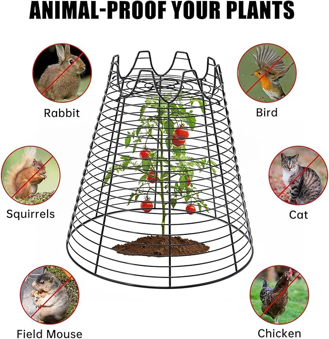 4 Pcs 11.6"×11.6" Plant Protectors from Animals, Sturdy Metal Plant Cages for Outdoor Plants, Reusable Wire Garden Cloches, Plant Protector to Keep Squirrels, Rabbits, Birds, Black