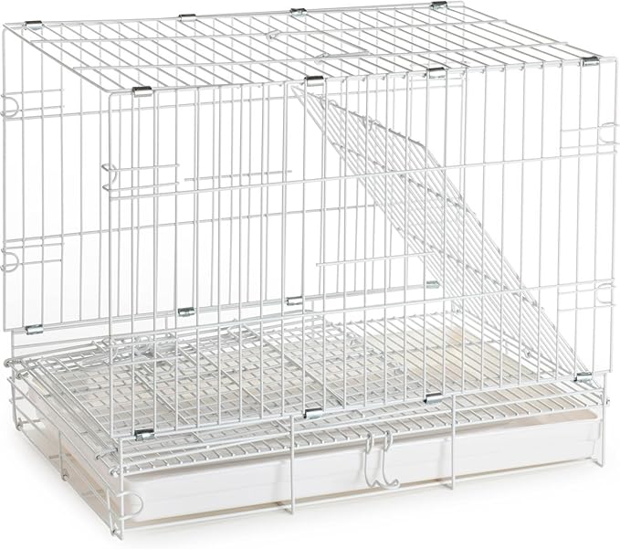 Collapsable Bird, Parrot, Dog, Bunny, Rabbit and Cat Carrier Travel Vet Carrier Cage (19" x 12" x 16"H, White)